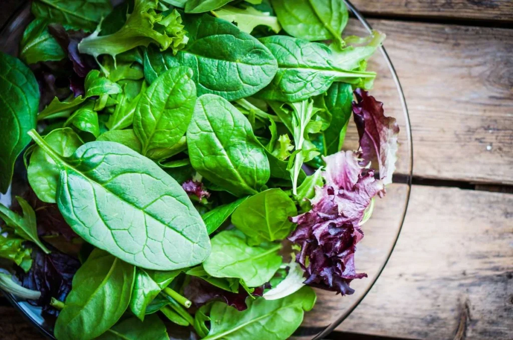 Salada fresca de folhas verdes