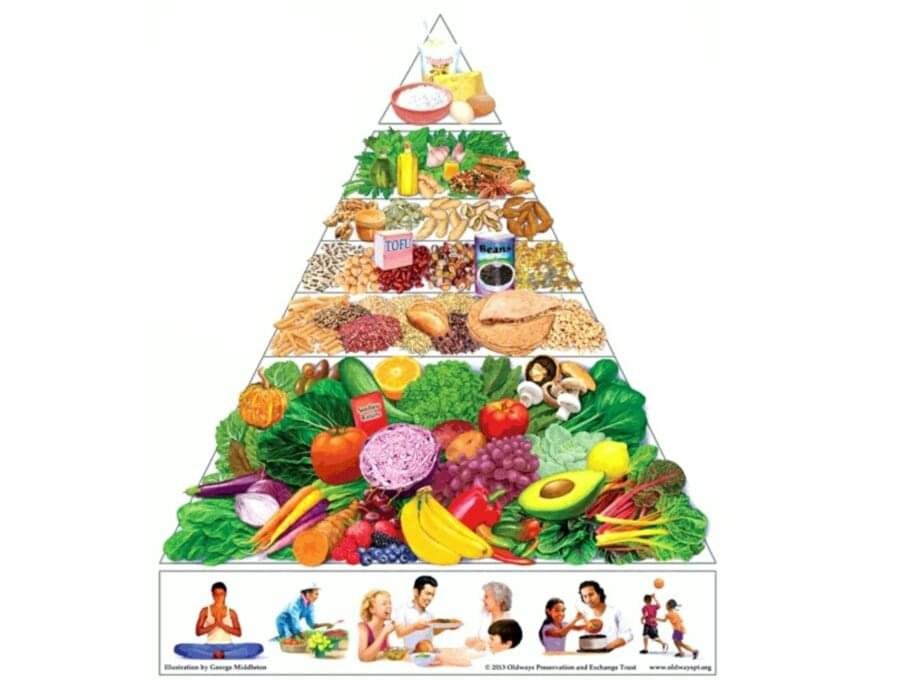 Guia Visual da Dieta Mediterrânea: Um Infográfico com Tudo o que Você Precisa Saber